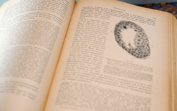 L. TESTUT, TRAITÉ D'ANATOMIE HUMAINE, 4 tomes, 1911 - 1912