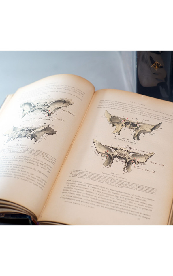 L. TESTUT, TRAITÉ D'ANATOMIE HUMAINE, 4 tomes, 1911 - 1912