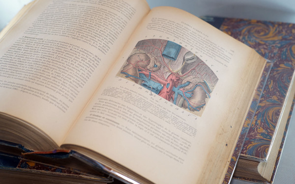 L. TESTUT, TRAITÉ D'ANATOMIE HUMAINE, 4 tomes, 1911 - 1912