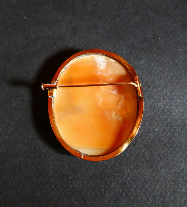 Broche Camée Sur Coquillage, Or Jaune 18 Carats.