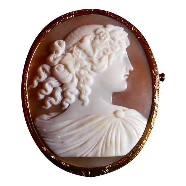 Broche Camée Sur Coquillage, Or Jaune 18 Carats.