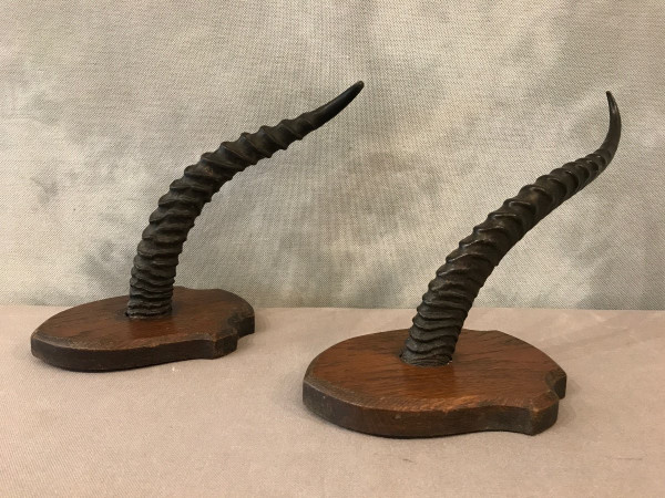 Paire de cornes de gazelle sur support en bois vers 1900