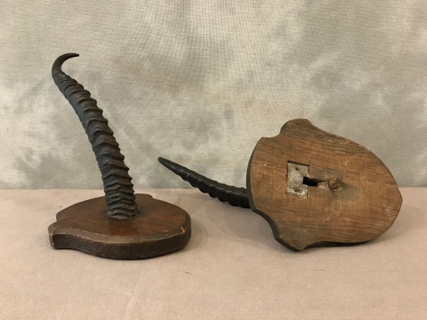 Paire de cornes de gazelle sur support en bois vers 1900