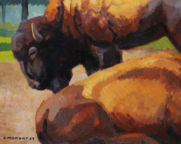 André MARGAT, bisonte americano