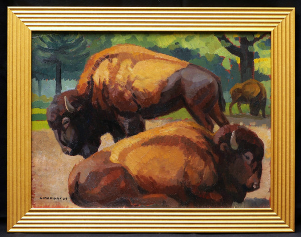 André MARGAT, bisonte americano