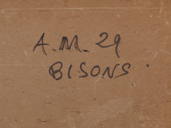 André MARGAT, bisonte americano