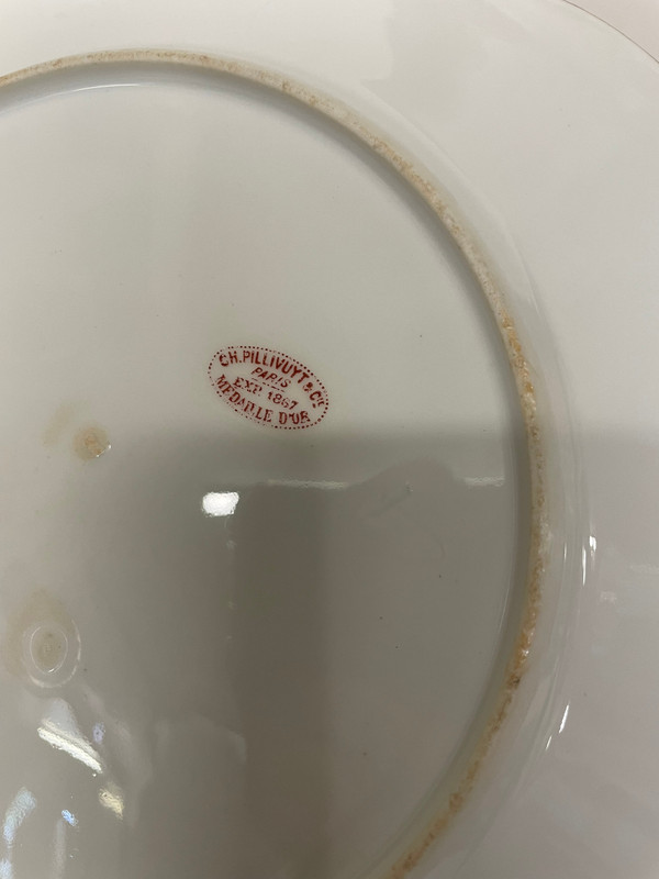 Suite De 12 Assiettes En Porcelaine Décor Fleurs Peint A La Main Charles Pillivuyt 