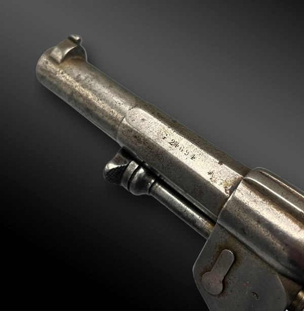 Revolver Modello 1873 della Manifattura d'Armes De Saint-Etienne - Francia - XIX secolo