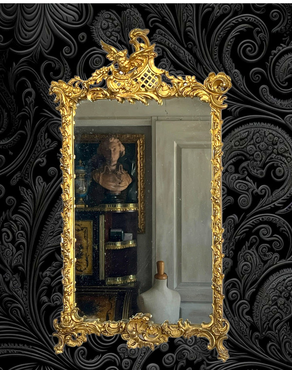 SPECCHIO DEL XIX SECOLO IN LEGNO E STUCCO DORATO IN STILE LOUIS XV ( FRONTIERA CON UCCELLO )