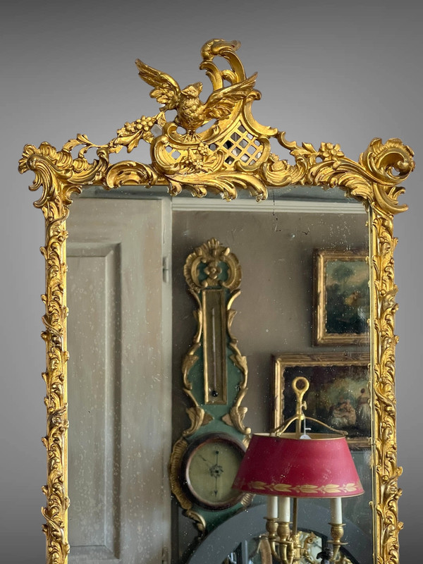 SPECCHIO DEL XIX SECOLO IN LEGNO E STUCCO DORATO IN STILE LOUIS XV ( FRONTIERA CON UCCELLO )