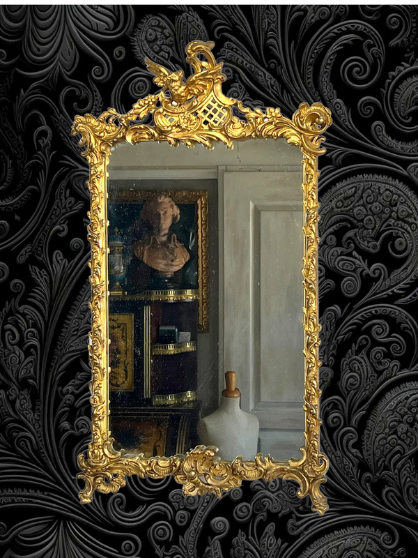 SPECCHIO DEL XIX SECOLO IN LEGNO E STUCCO DORATO IN STILE LOUIS XV ( FRONTIERA CON UCCELLO )