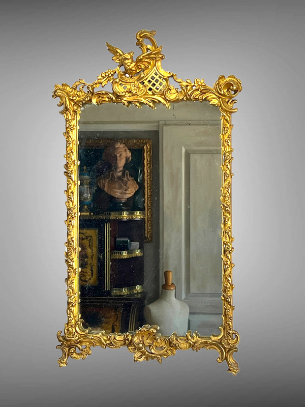 SPECCHIO DEL XIX SECOLO IN LEGNO E STUCCO DORATO IN STILE LOUIS XV ( FRONTIERA CON UCCELLO )