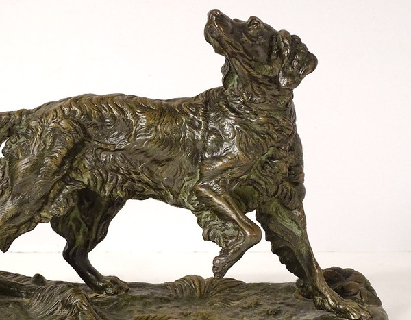 Bronze sculpture signed ules Moigniez Chien Chasse Arrêt épagneul 19th century