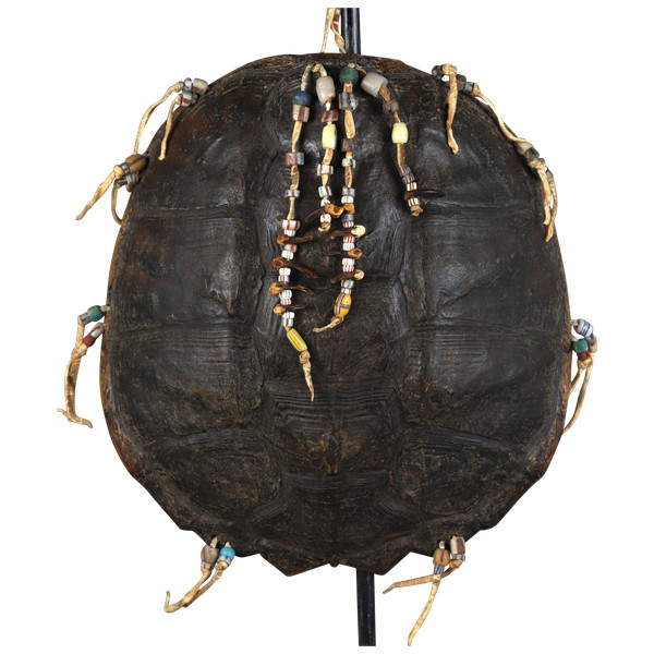 Brustschildkröte – Prärieindianer, USA