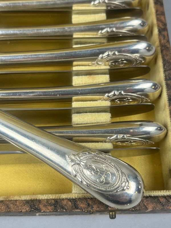 12 Medaillon-Käsemesser aus silbernem Metall