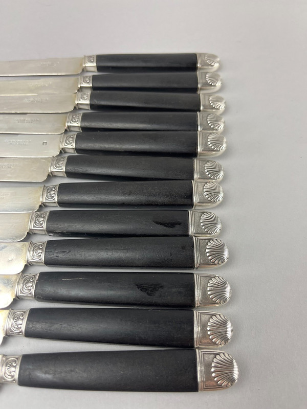 12 Fruit knives silver blade ebony handle