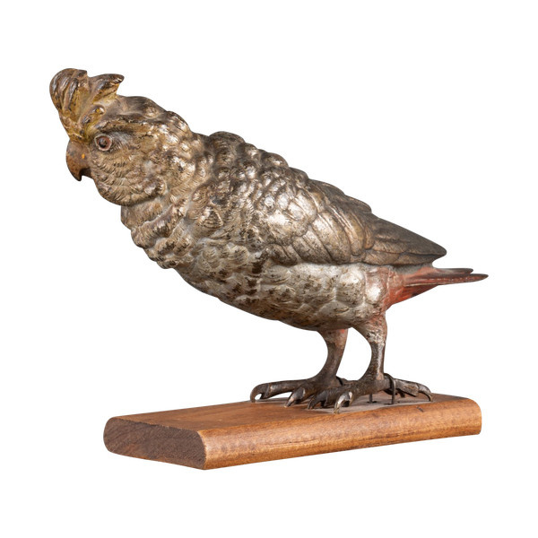 Bronze de Vienne Perruche callopsite, XIXe siècle 