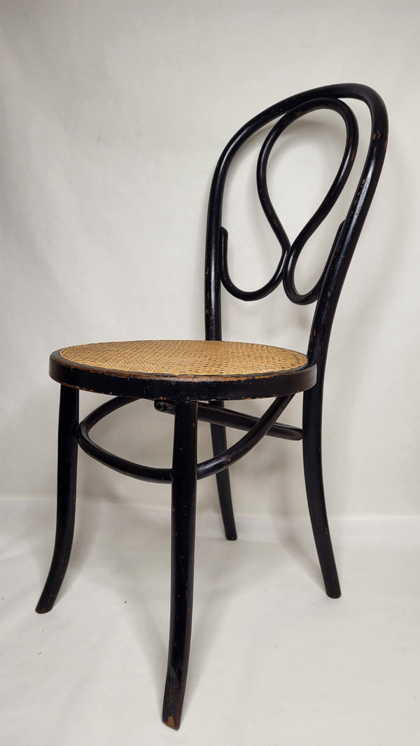 Coppia di sedie Omega in legno curvato Art Nouveau, annerito