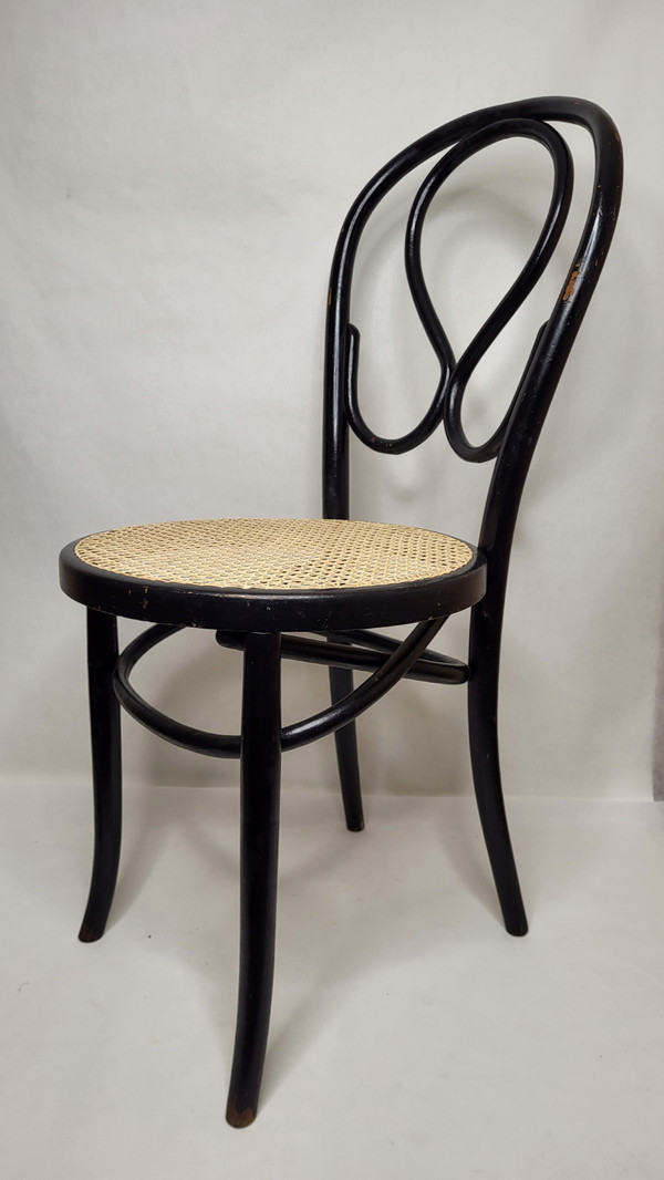 Coppia di sedie Omega in legno curvato Art Nouveau, annerito