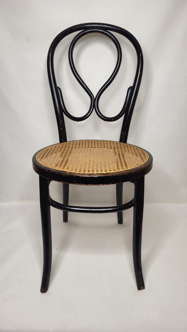 Coppia di sedie Omega in legno curvato Art Nouveau, annerito