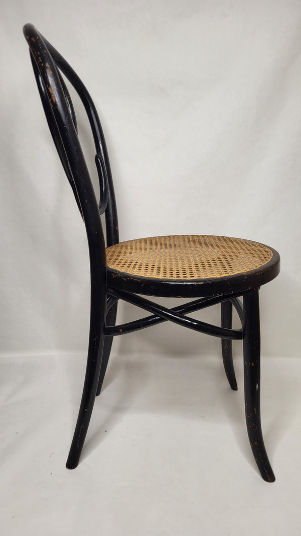 Coppia di sedie Omega in legno curvato Art Nouveau, annerito