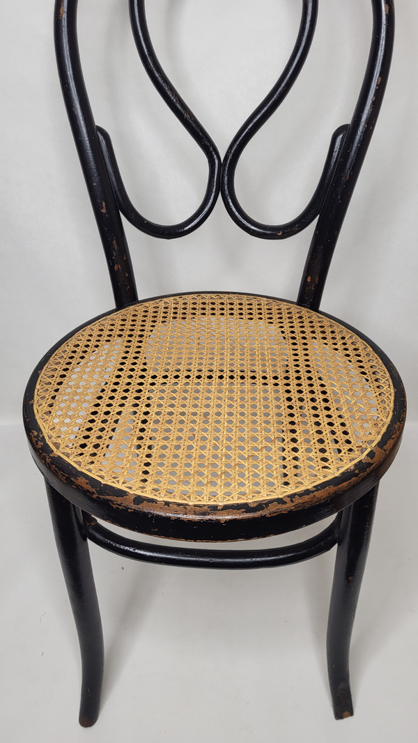 Coppia di sedie Omega in legno curvato Art Nouveau, annerito