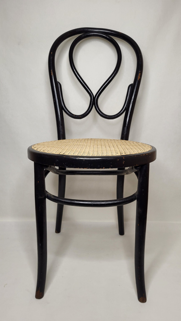Coppia di sedie Omega in legno curvato Art Nouveau, annerito