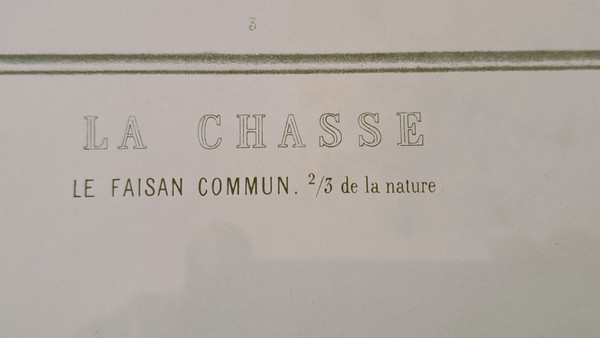 Engraving of Chasse le Faisan after Edouard Traviés
