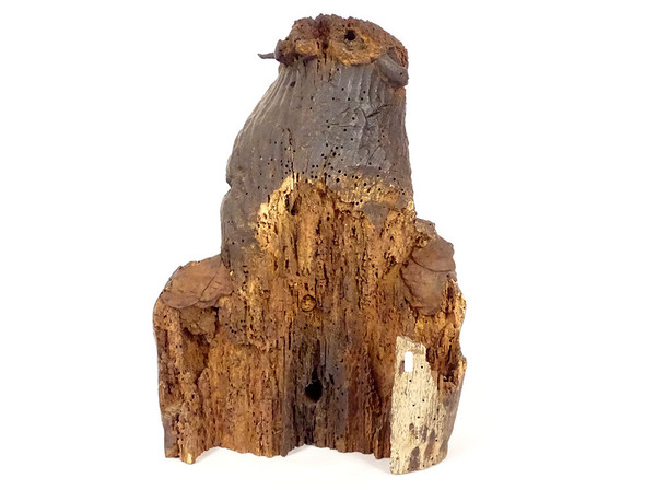 Statue Bust Christ Crown Thorns Wood Carved High Period 14th-15th century