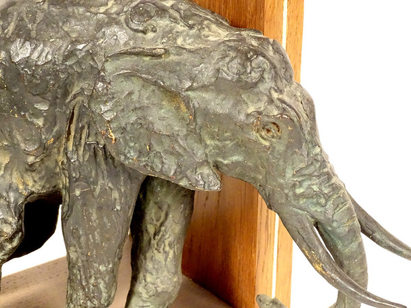 Pair of bookends Elephant sculptures Ary Bitter Bronze Art Deco 20th century