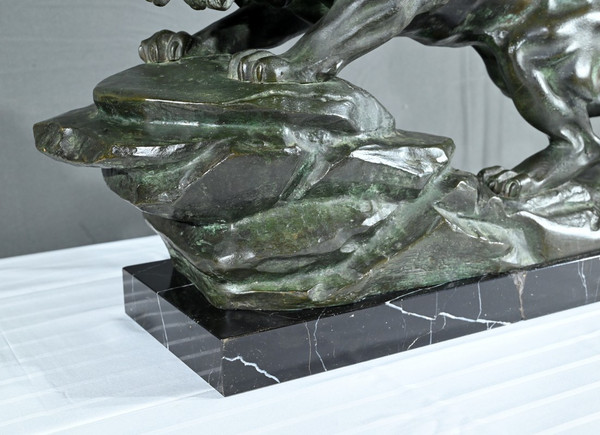 Bronze "Brüllender Löwe" signiert Nerin - Anfang 20.