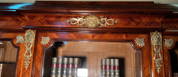 Napoleon 3 large library
