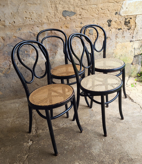 4 sedie in legno curvato in stile Art Nouveau