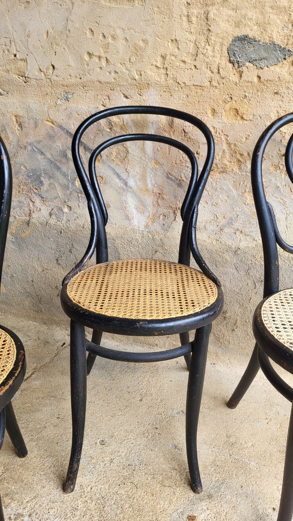 4 sedie in legno curvato in stile Art Nouveau