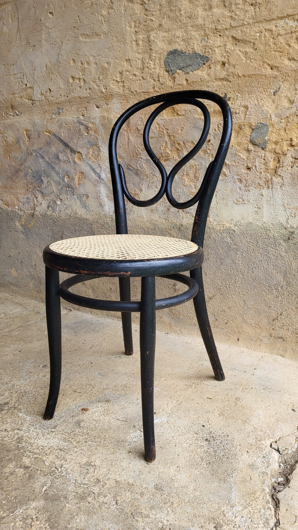 4 sedie in legno curvato in stile Art Nouveau