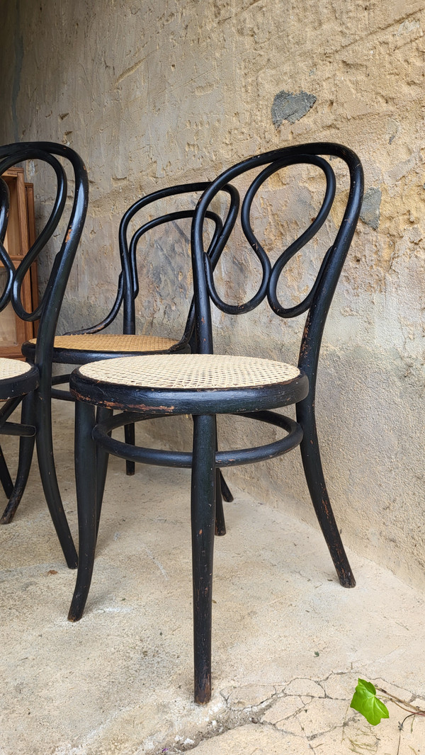 4 sedie in legno curvato in stile Art Nouveau