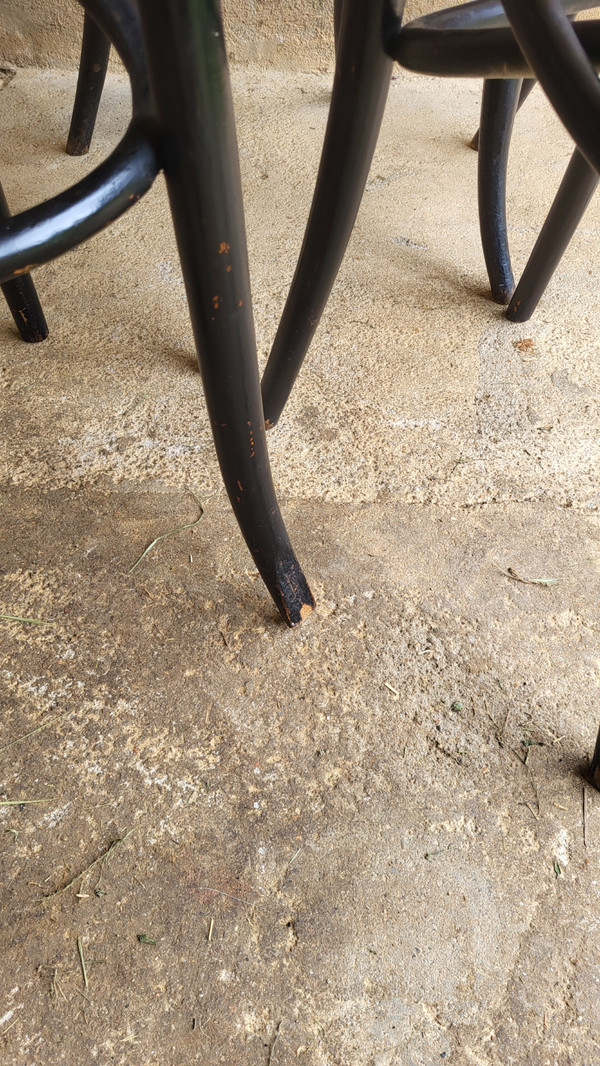 4 sedie in legno curvato in stile Art Nouveau