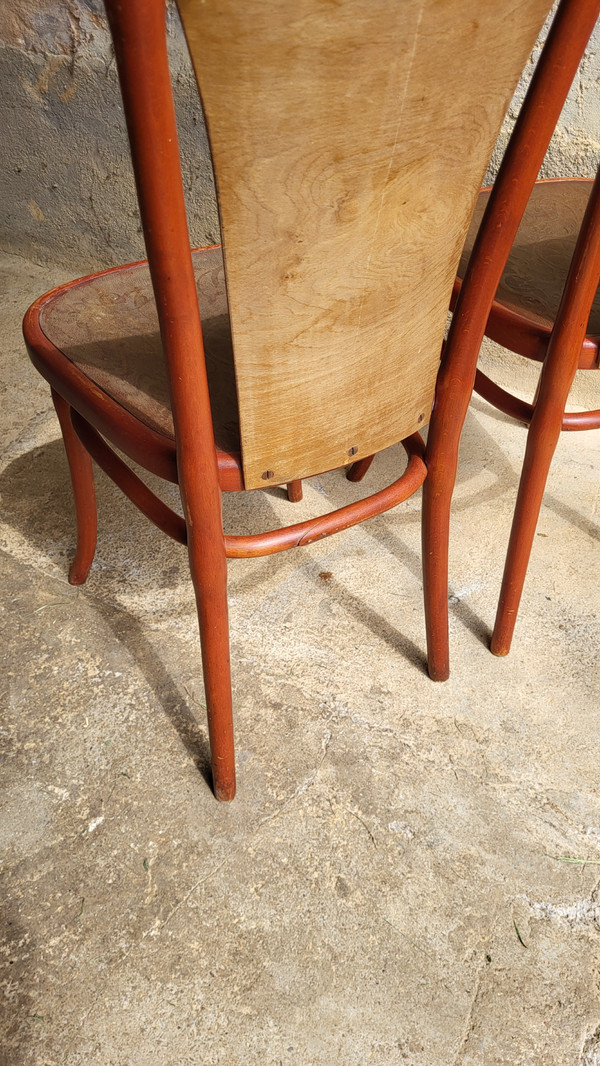 Paar Jugendstil-Stühle von Thonet 1900's