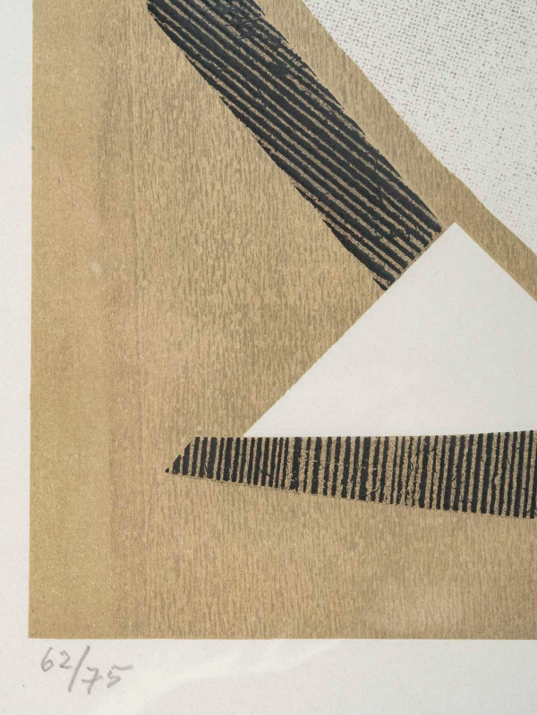 Lithography by Alberto MAGNELLI