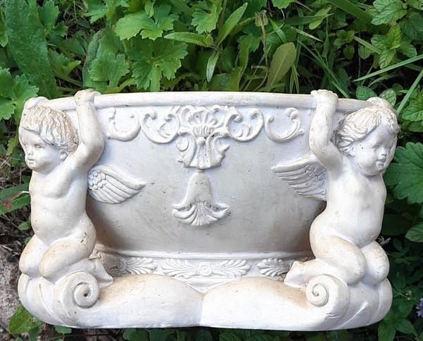 Coupe aux chérubins 