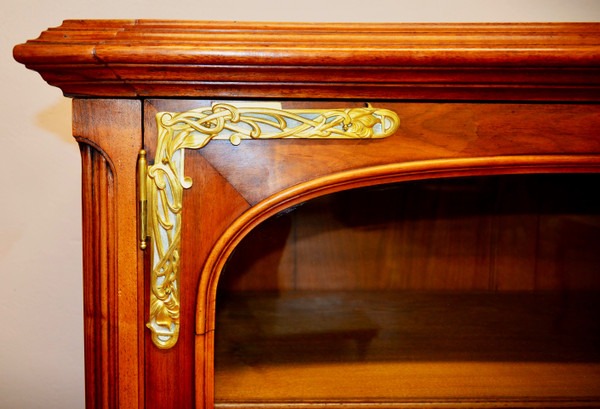 Art Nouveau Library Showcase