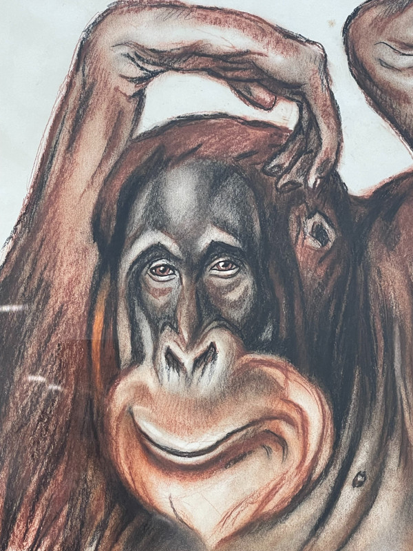 André MARGAT (1903-1999), "Orang-Outan", 1929