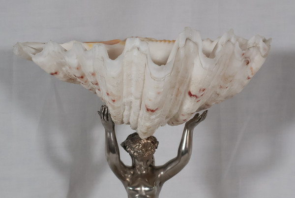 Nereid Stoup With Tridacna Shell 19th Century 
