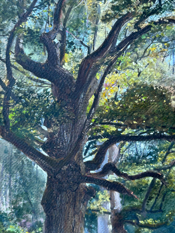 Armand Théophile Cassagne (1823-1907) Aquarelle Vue De La Forêt De Fontainebleau 1866 