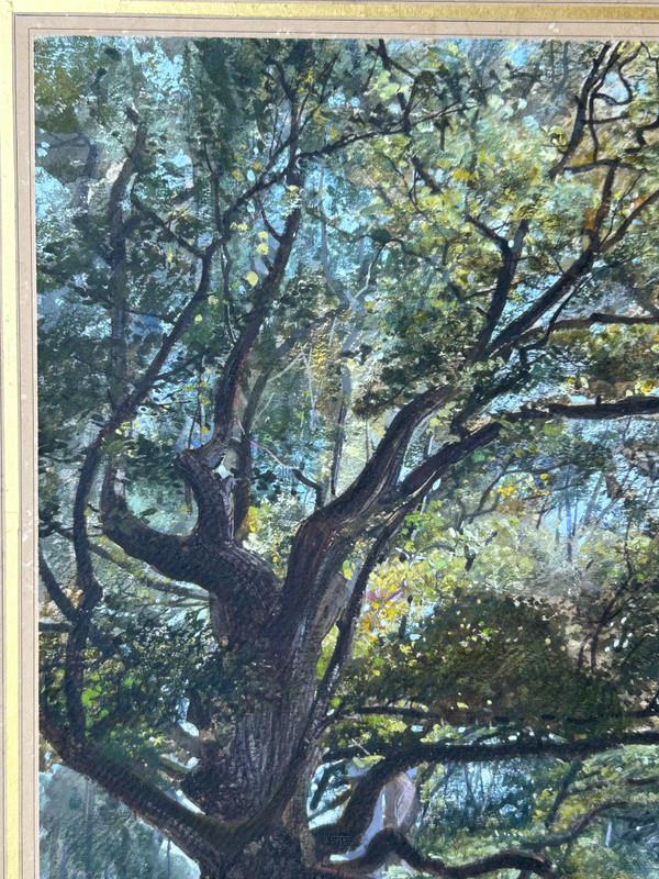 Armand Théophile Cassagne (1823-1907) Aquarelle Vue De La Forêt De Fontainebleau 1866 