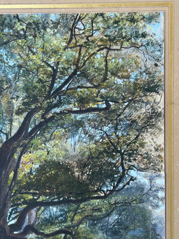 Armand Théophile Cassagne (1823-1907) Aquarelle Vue De La Forêt De Fontainebleau 1866 