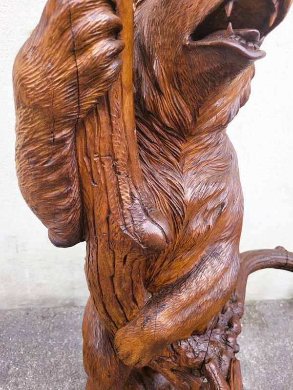 Ours Porte-manteau, Forêt Noire,  Fin XIXème Début XXème Siècle
