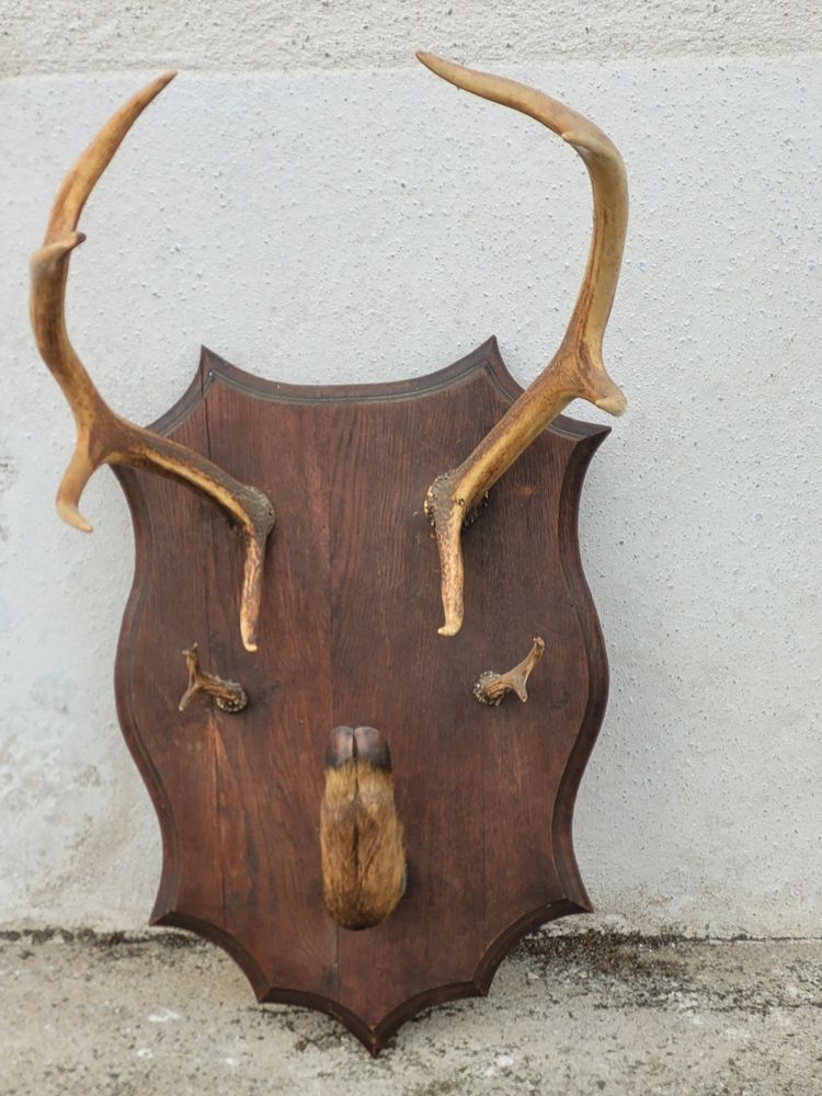 Kleiderständer aus Hirschgeweih Anfang 20.