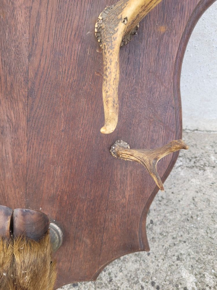 Kleiderständer aus Hirschgeweih Anfang 20.