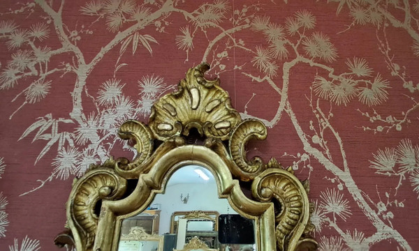 Paire d appliques XIX 78cm x 38 cm